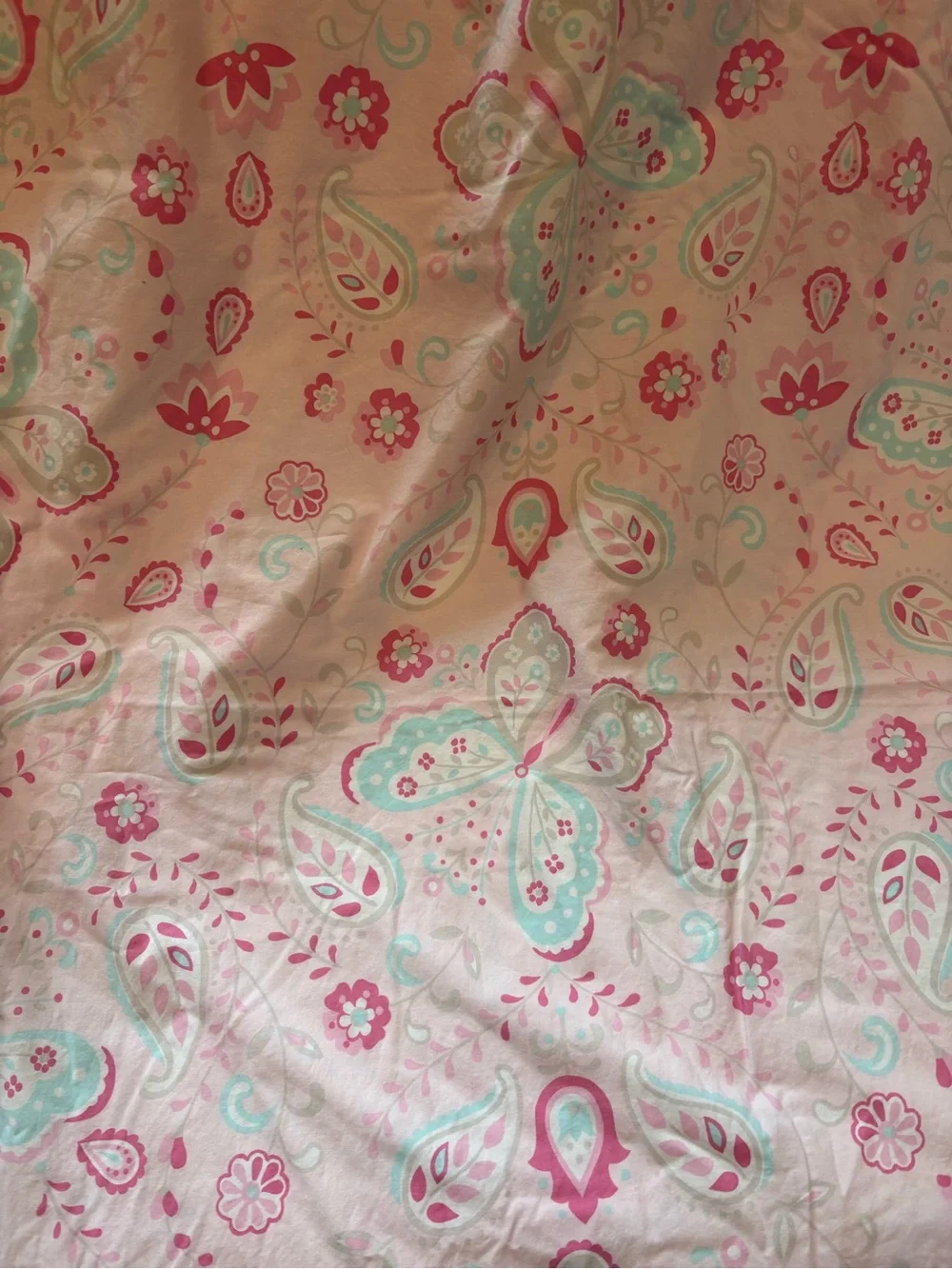Pottery Barn Kids Kristen Paisley Cotton Twin Duvet Cover